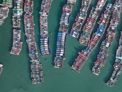 归港，上岸！台风“桦加沙”来袭，阳江海陵岛万船归港
