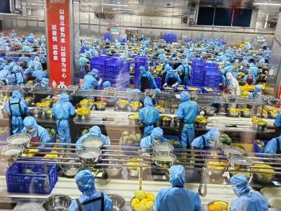 揭秘6元爆品背后供应链：蜜雪冰城工厂一天消耗超300吨水果