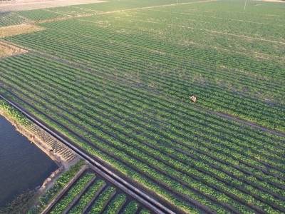 注意防范！江门恩平地质灾害风险较高