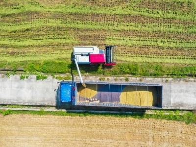 社论丨更丰盈 更欢腾 更兴旺