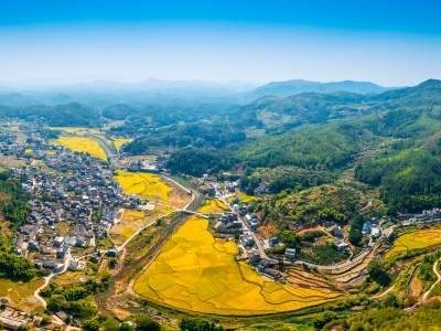 2025，看广东“三农”新“丰”景