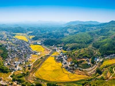 2025，看广东“三农”新“丰”景