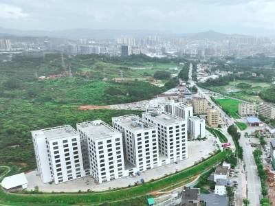 滚动｜博罗防风应急响应提升为III级，明后天全县停课