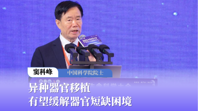 中国科学院院士窦科峰：异种器官移植有望缓解器官短缺困境