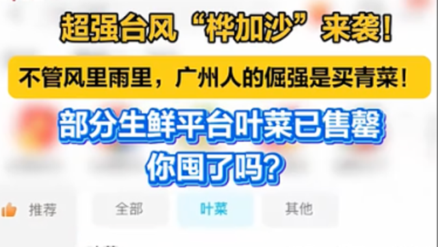 视频｜“桦加沙”来袭！广州部分生鲜平台叶菜已售罄，你囤了吗？