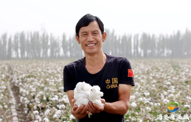 图源：遇鉴唐王城