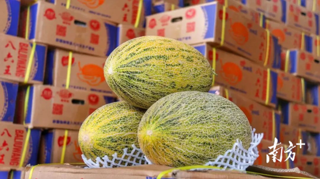 图源:佛山新闻网 图源:佛山新闻网