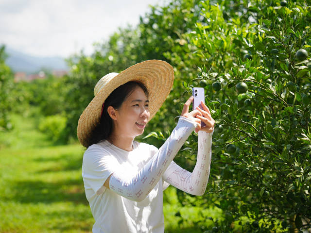 来自肇庆的“贡柑妹妹”陈慧带领团队开发深加工产品。(受访者供图) 来自肇庆的“贡柑妹妹”陈慧带领团队开发深加工产品。(受访者供图)