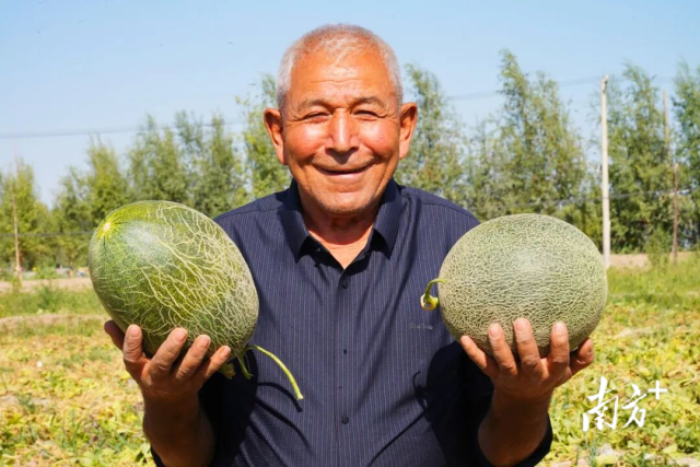 图源:伽师零距离 图源:伽师零距离