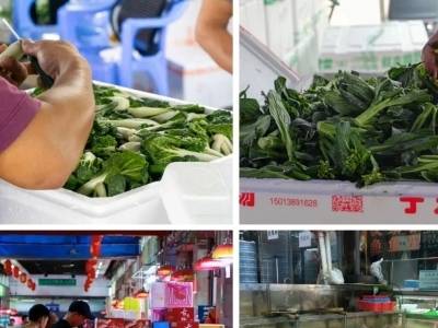 根本吃不完！海吉星·深圳等市场菜肉果蛋全管够