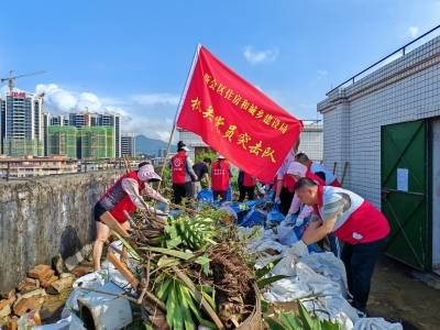 新会区住建局：多维度推进基孔肯雅热防控工作