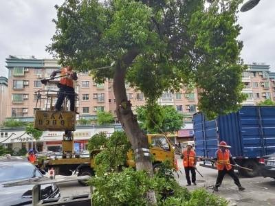 番禺已转移群众2817人，530名基干民兵待命抢险
