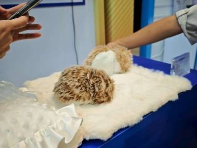 毛茸茸的AI宠物长什么样？中国首款AI伴宠亮相琶洲算法大赛