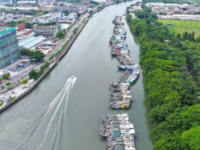 图集｜躲避台风“桦加沙”，中山岐江数百渔船临时停靠