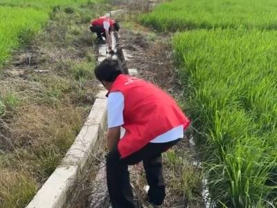 江门人保财险：迎战“桦加沙”全面开展防御工作