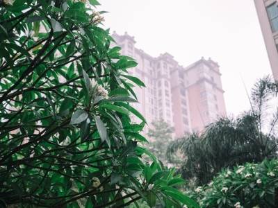 “桦加沙”来袭，广州越秀区重要服务信息一文掌握