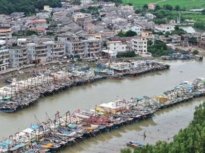 视频｜江门沿海渔村防风记