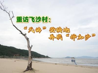 一线识“珠”⑫｜重访飞沙村：“天鸽”登陆地再战“桦加沙”