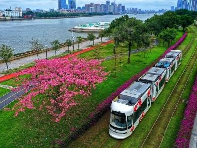 机器人“氛围组”打鼓助兴！秀出AI硬实力｜世界算法看琶洲