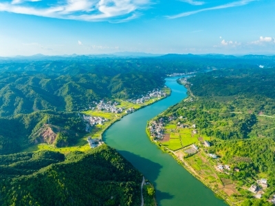 林下油茶香，绿林变金山｜寻美南粤⑦
