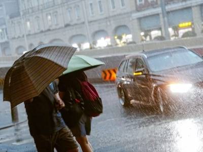 停课、停工、停产、停运、停业！广东11城宣布“五停”，应对“风王”