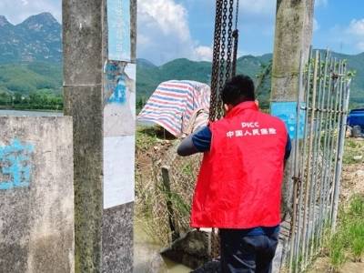 江门人保财险：前置服务筑牢水产养殖“防护盾”