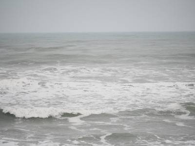 广东退役军人，这份紧急倡议书请查收