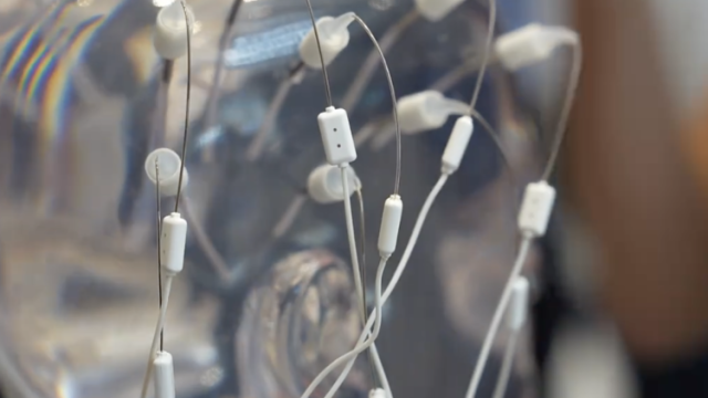 机器人、AI宠物，看算法星光大道熠熠星光｜世界算法看琶洲