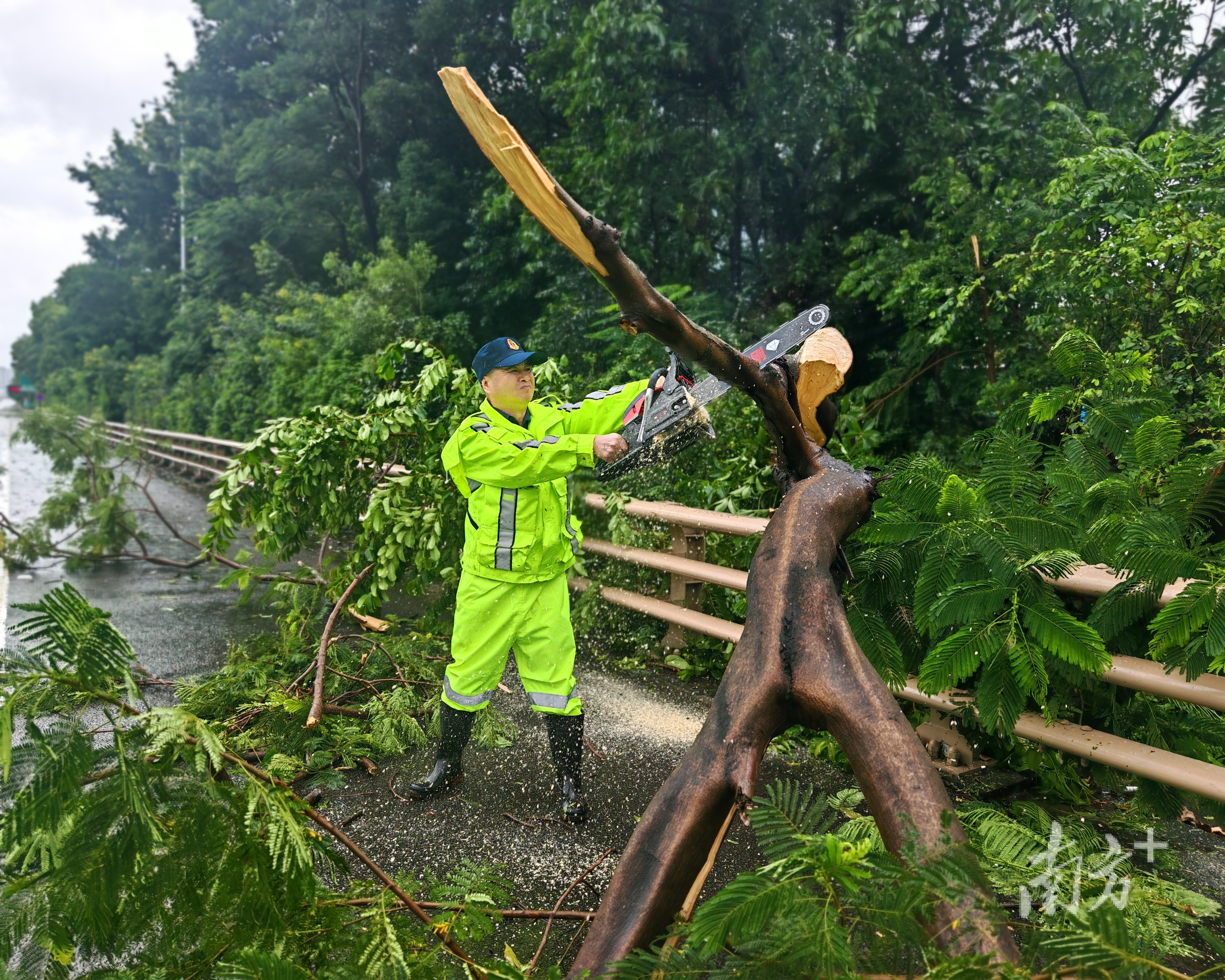 台风“桦加沙”已进入茂名电白区境内,强度逐渐减弱|持续更新_南方+_南方plus