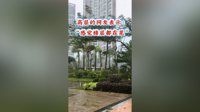 台风“桦加沙”逼近阳江，市区风势凶猛！