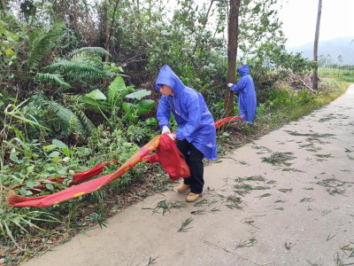 阳春松柏：全力应对台风“桦加沙”，安全转移208人