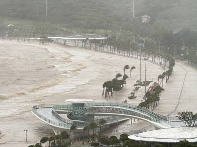 “桦加沙”侧记 |台风中的情侣路：渔女、日月贝和城市地标