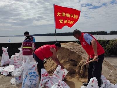 江门广大党员闻令而动，防台风灭毒蚊“两线作战”