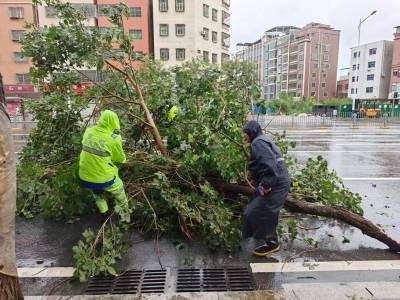 滚动 |惠阳防风应急响应降至Ⅱ级，24日18时起分批解除“五停”