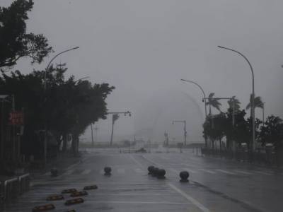 珠海进入10级风圈！市区大树被狂风吹倒