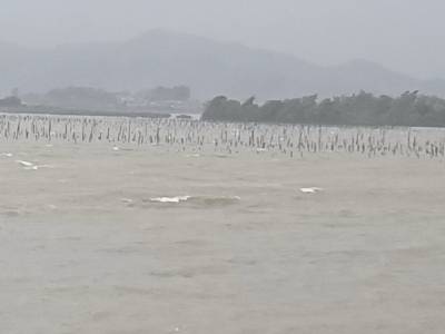 “桦加沙”10级风圈：江门恩平港风雨交加，海面掀起白浪