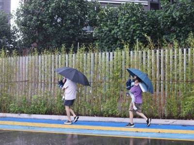 闻风而动，南沙林业园林建设发展中心筑牢“桦加沙”防御“安全墙”