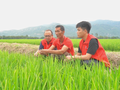 一线直击｜台风“桦加沙”登陆在即，广东保险队伍提前排查、防风防灾