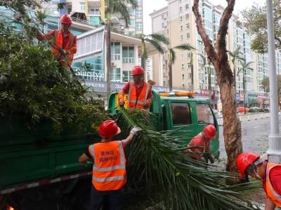 台风“桦加沙”过境后的珠海情侣路，清障工作有序展开｜一线直击