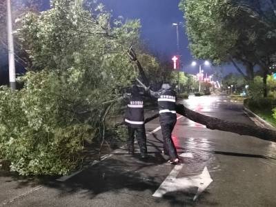 城市在苏醒！风雨渐歇，江门恩平加速灾后清障
