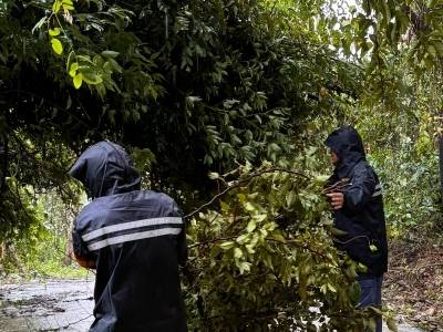 多图直击｜与台风赛跑！惠州供电人守护万家灯火