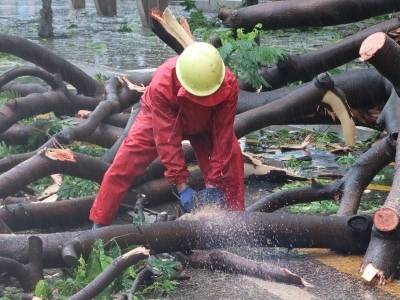特写｜台风天里的江门“护路人”