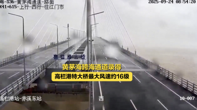 最大风速16级！黄茅海跨海通道直面台风“桦加沙”