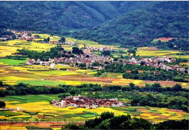 位于片区的高滩村，风景如画。增城区“百千万工程”指挥部乡村振兴专班供图