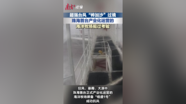 超强台风“桦加沙”过境，珠海首台产业化运营的海洋牧场挺过考验