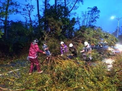 阳东那龙镇：阵地为基挡风雨 党群同心护平安