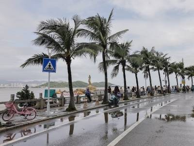 “桦加沙”过境后，珠海情侣路市民游客又多了起来｜一线直击