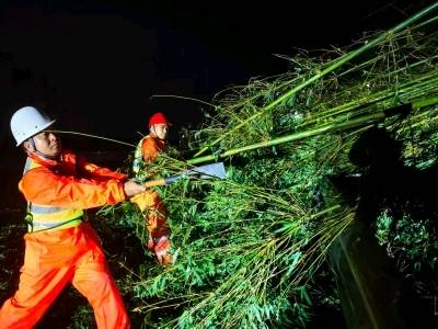 阳茂高速：“五停”之下，他们守护平安通途