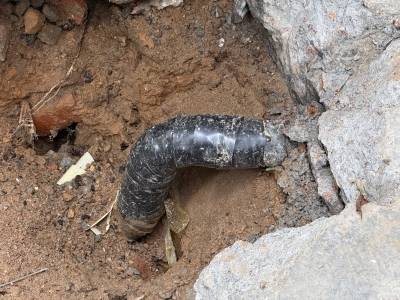 台风“桦加沙”导致燃气泄漏，阳西消防紧急排险