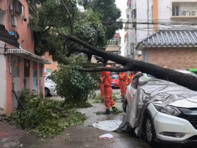 视频｜逆风而行，江门消防全力以赴抗台风保复产